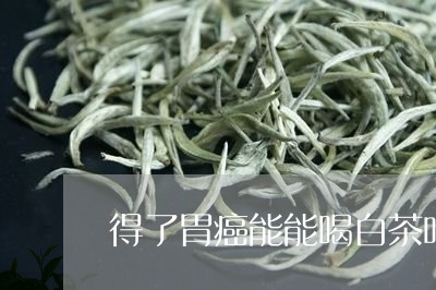 得了胃癌能能喝白茶吗/2023093091926