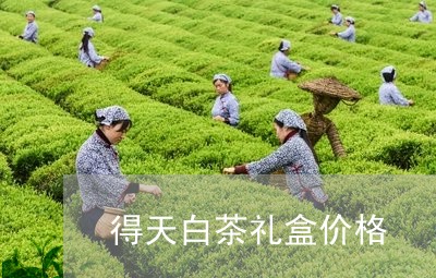 得天白茶礼盒价格/2023062013748