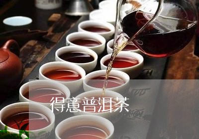 得意普洱茶/2023090592803