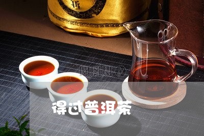 得过普洱茶/2023090574959