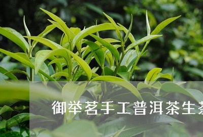 御举茗手工普洱茶生茶/2023080180592