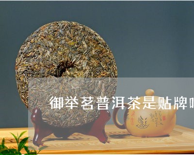 御举茗普洱茶是贴牌吗/2023092752794