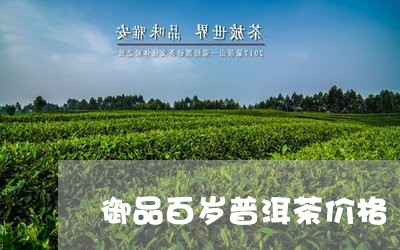 御品百岁普洱茶价格/2023091548180