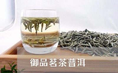 御品茗茶普洱/2023090744128