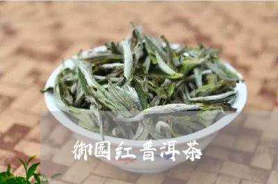 御园红普洱茶/2023042644856