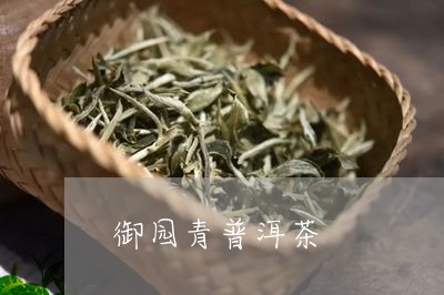 御园青普洱茶/2023042869334