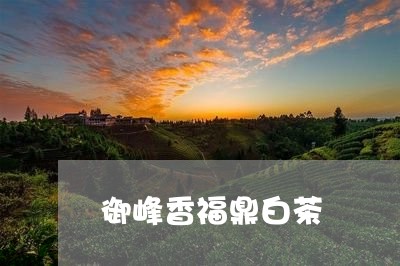 御峰香福鼎白茶/2023111595041