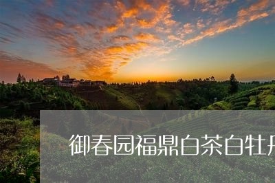 御春园福鼎白茶白牡丹/2023091591582