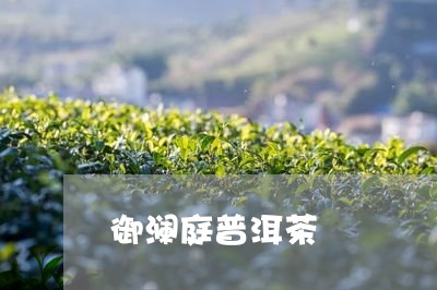 御澜庭普洱茶/2023102537360