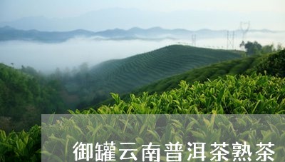 御罐云南普洱茶熟茶/2023110591737