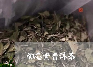 御芯堂普洱茶/2023112650705