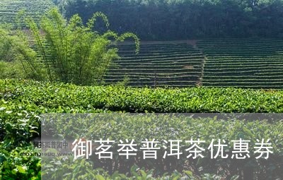 御茗举普洱茶优惠券/2023071007148