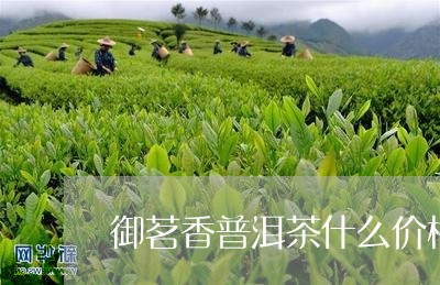 御茗香普洱茶什么价格/2023093067272