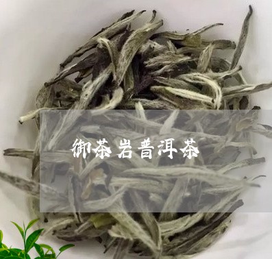 御茶岩普洱茶/2023042814027