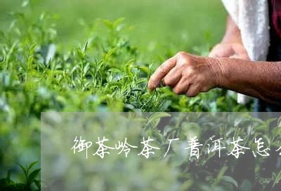 御茶岭茶厂普洱茶怎么样/2023112851714