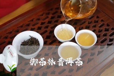 御茶林普洱茶/2023082949495