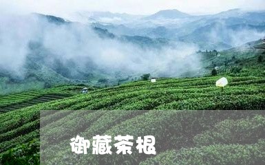 御藏茶根/2023110940603