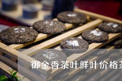 御金香茶叶鲜叶价格茶府御品茗茶/2023060135938