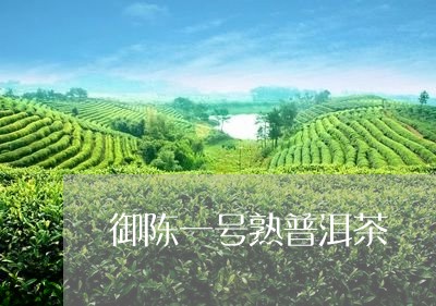 御陈一号熟普洱茶/2023112693247