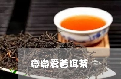 微微爱普洱茶/2023091241526