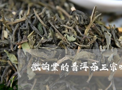 微拍堂的普洱茶正宗吗/2023061604062