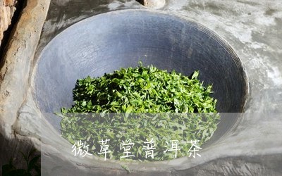 微草堂普洱茶/2023042818899