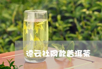 德云社同款普洱茶/2023120355968