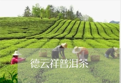 德云祥普洱茶/2023042510077