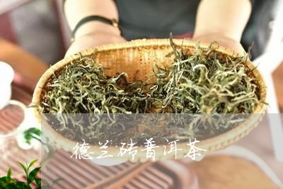 德兰砖普洱茶/2023102543927