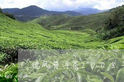 德凤普洱茶2008年/2023062909381