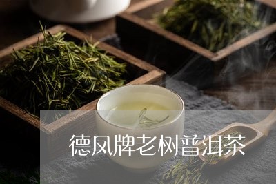 德凤牌老树普洱茶/2023120492716