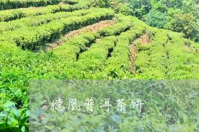 德凰普洱茶饼/2023042929244