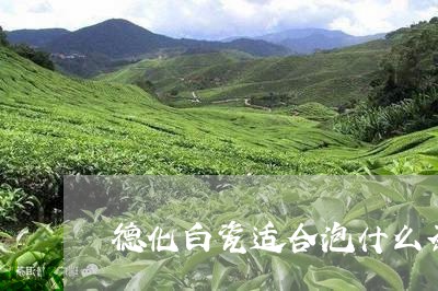 德化白瓷适合泡什么茶/2023060774838