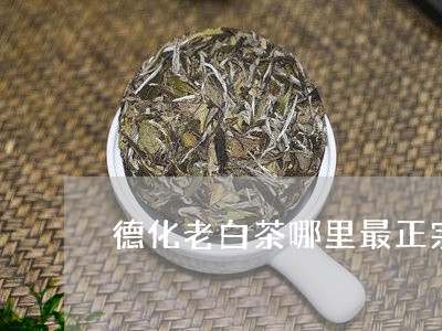 德化老白茶哪里最正宗/2023093086159