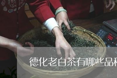 德化老白茶有哪些品种好/2023102516282