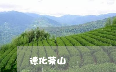 德化茶山/2023110992713