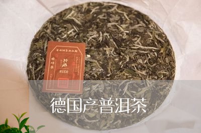 德国产普洱茶/2023042867456