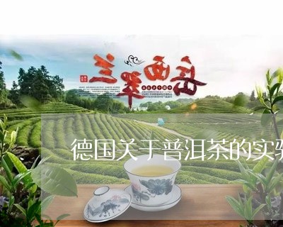 德国关于普洱茶的实验/2023062785059