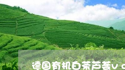 德国有机白茶芦荟vc水/2023102570613