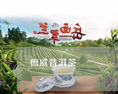 德威普洱茶/2023090517693