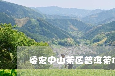 德宏中山茶区普洱茶价格表/2023082907282