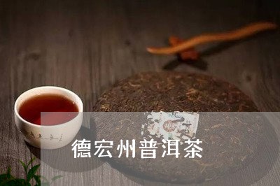 德宏州普洱茶/2023042998071