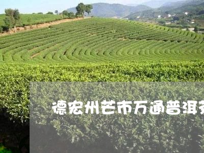 德宏州芒市万通普洱茶/2023092621713