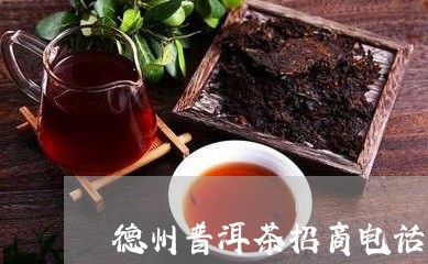 德州普洱茶招商电话多少/2023122836270