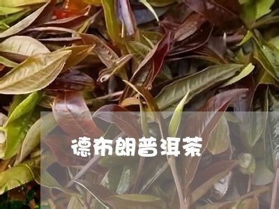 德布朗普洱茶/2023112620705