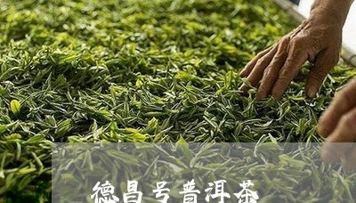 德昌号普洱茶/2023091352415