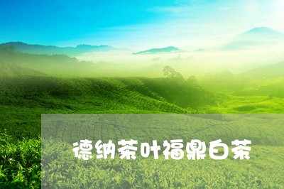 德纳茶叶福鼎白茶/2023111614079