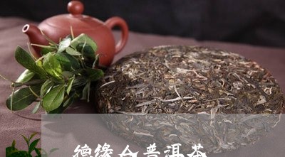 德缘合普洱茶/2023042559120