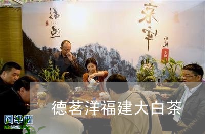 德茗洋福建大白茶/2023062057278