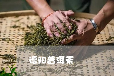 德阳普洱茶/2023090559483